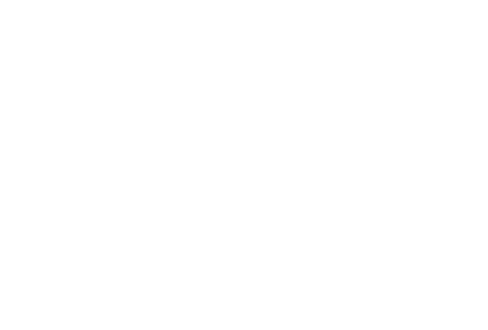 Patrícia Ferreira